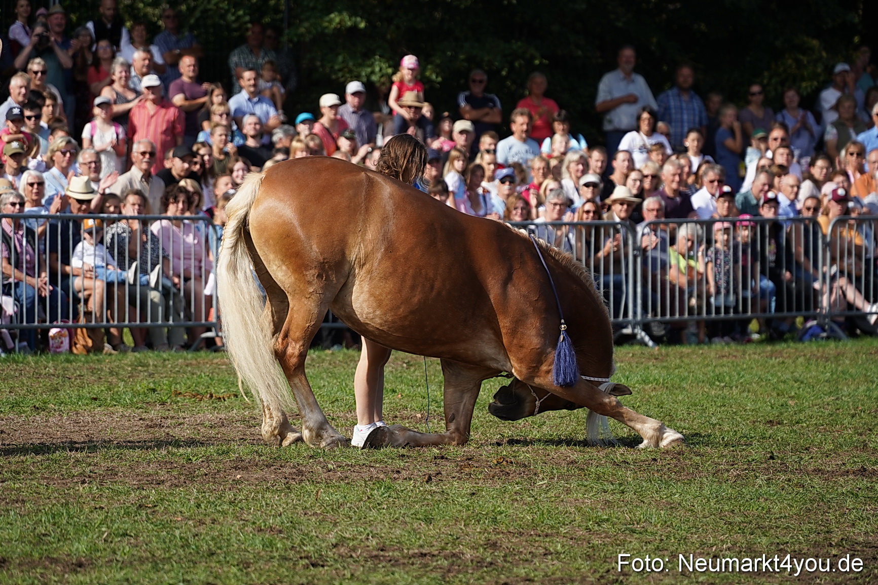 Pferde und Fohlenschau 2022 0153 